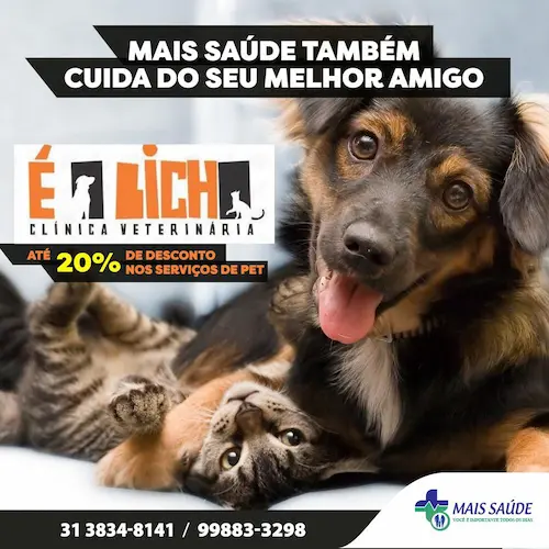 Hospital Animal de Itabira